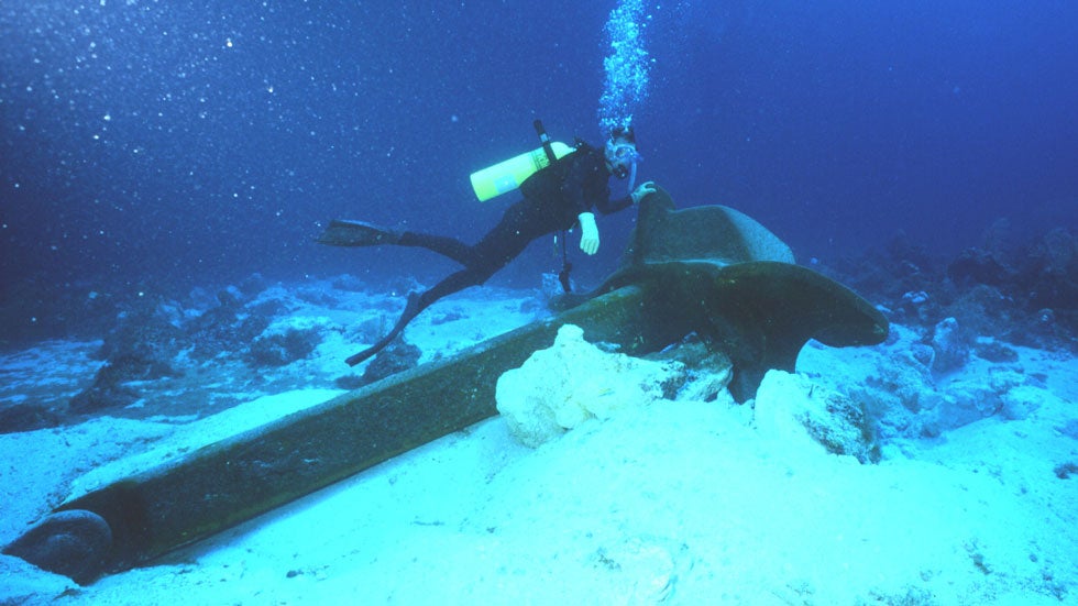 Killer Coral Disease is Wiping Out Florida Reefs