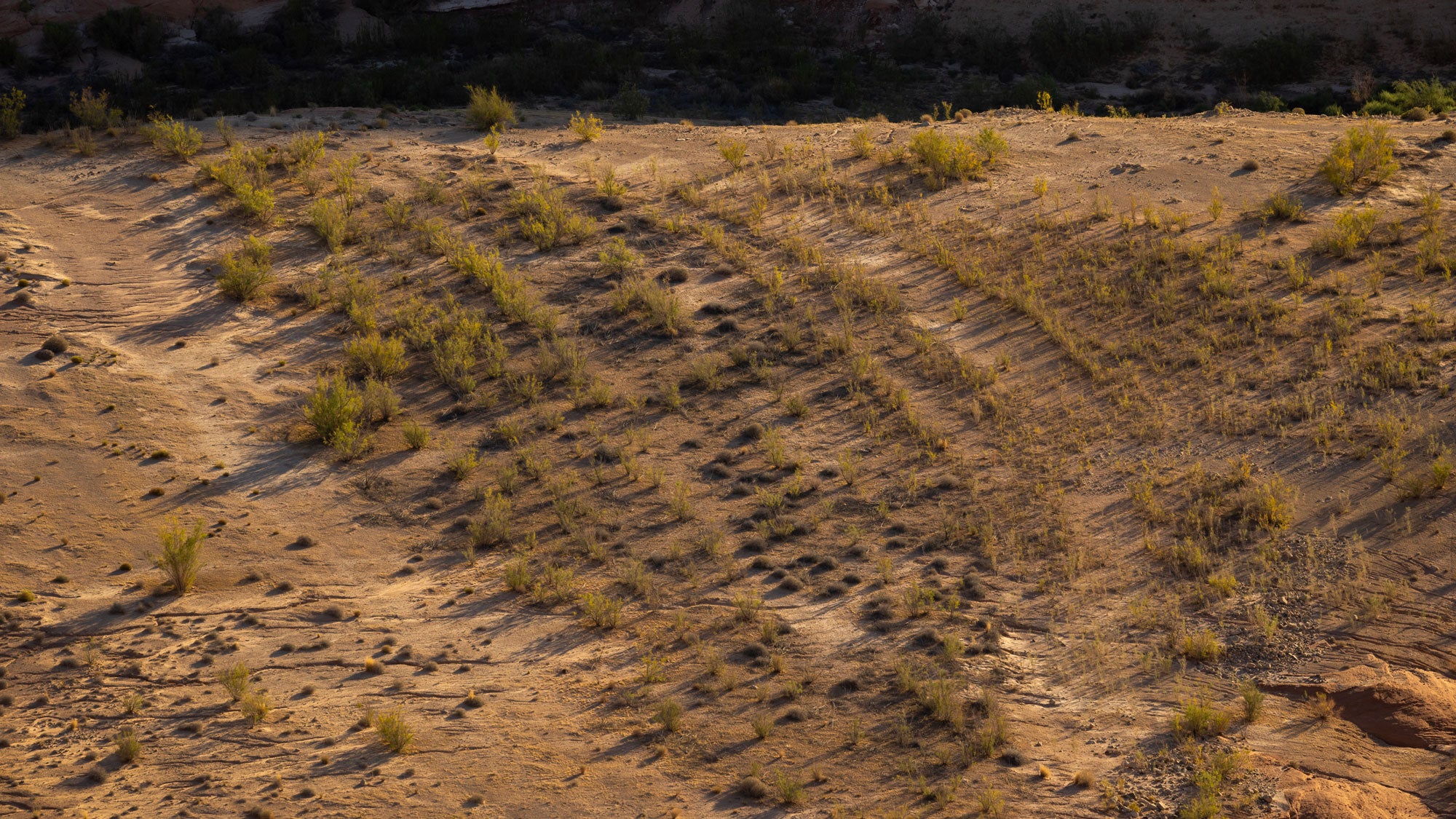 Old beach levels are seen in the soil in an area where land and geologic formations that have been underwater since the 1960s, when Lake Powell was created, are reemerging for the first time while record-low water levels continue to drop on Sept. 4, 2026 near Page, Arizona. 