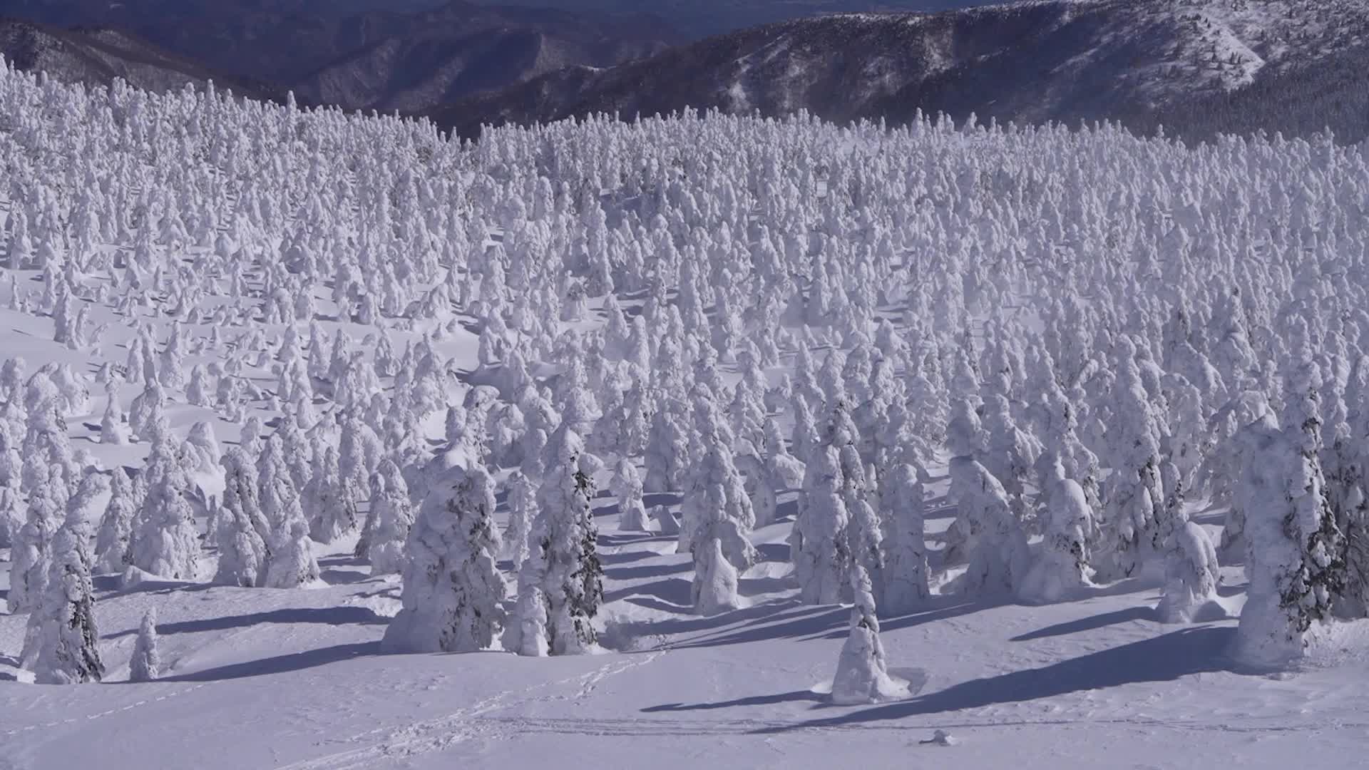 Landscape Of ‘Snow Monsters’ Is Majestic And Threatened