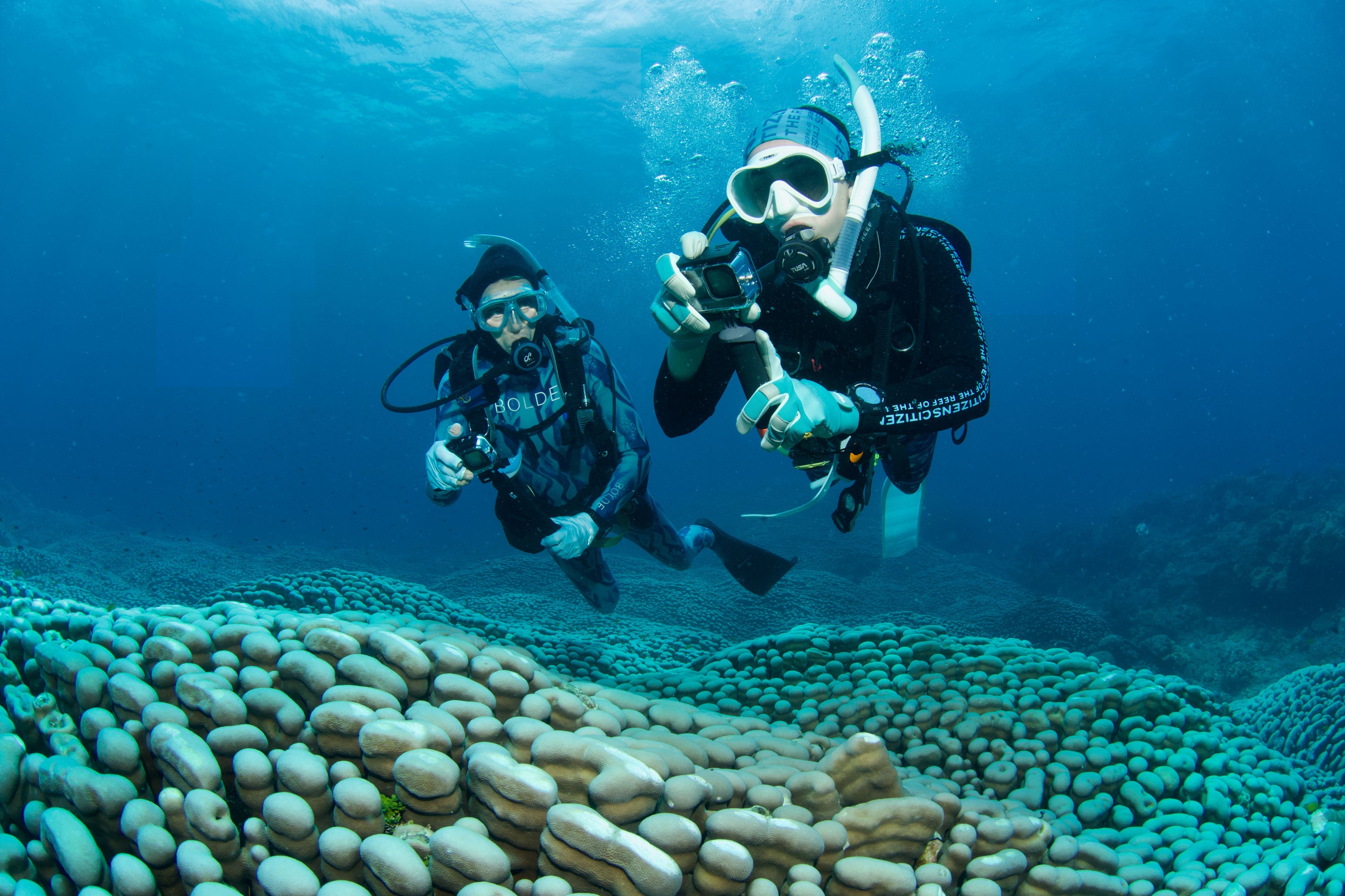people snorkeling underwater with coral 