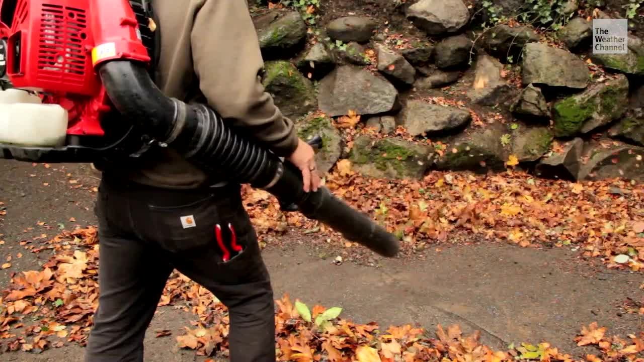 Lawmakers in California Pushing to Ban Sale of Leaf Blowers, Lawn Mowers