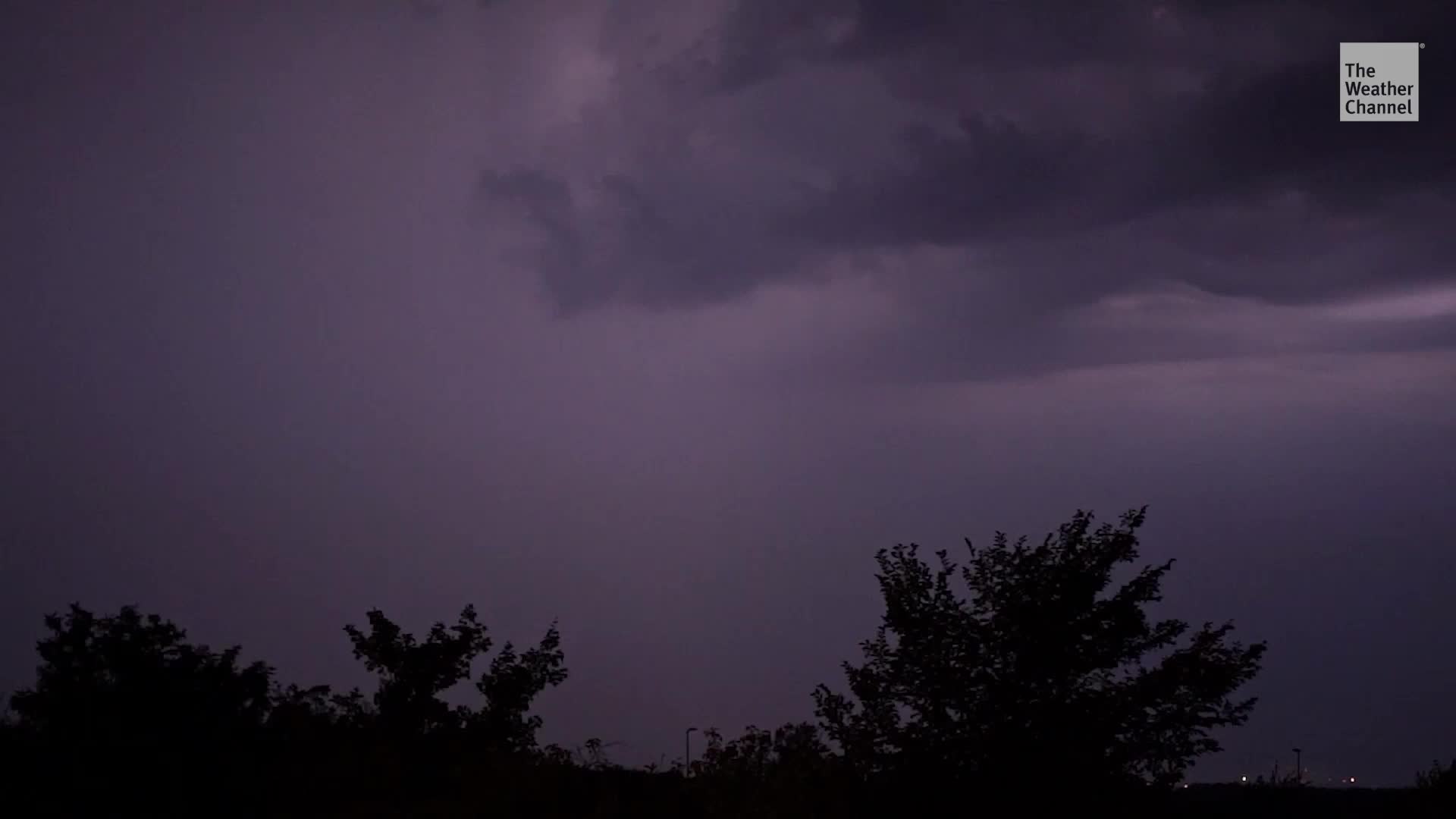 Lightning Strikes Are Good, For One Tree Species At Least