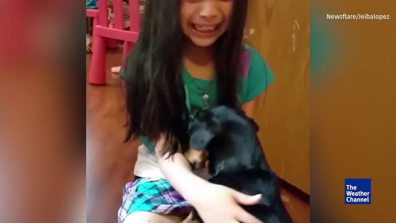 Little Girl Stunned as Lost Dog Returns