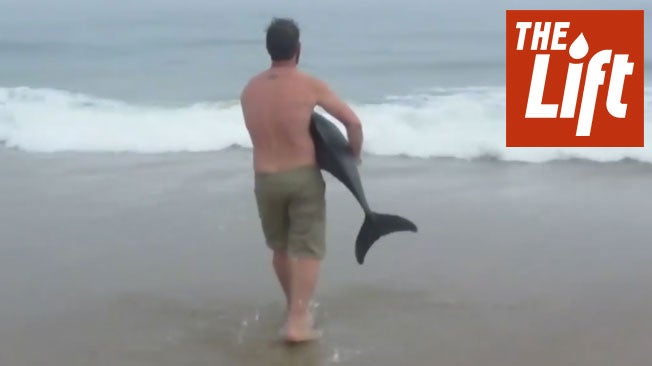 Lucky Dolphin Rescued in Namibia
