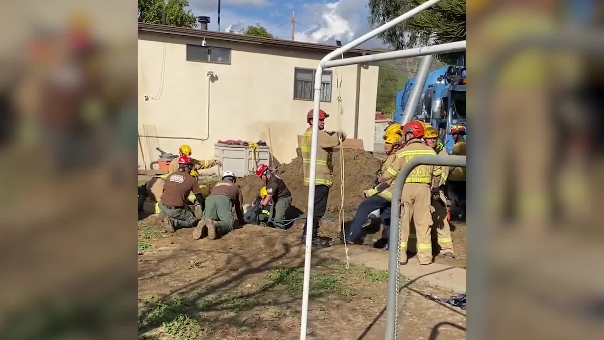 &lsquo;Lucky&rsquo; The Horse Rescued From Los Angeles Sinkhole