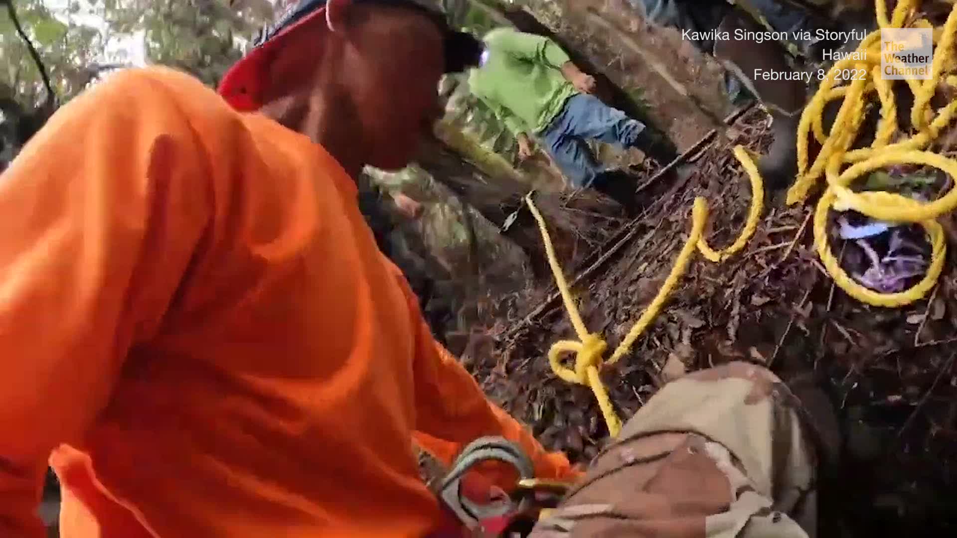 Man Rescues Dog from Volcanic Vent in Hawaii