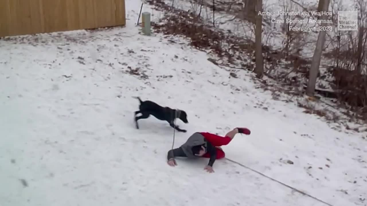 Man&rsquo;s Backyard So Covered In Ice He Couldn&rsquo;t Make It Back Inside