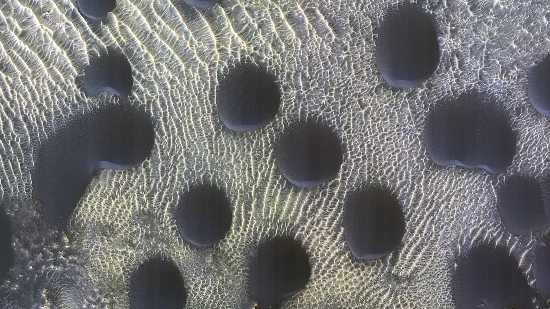 Mars Mystery: Almost Perfectly Circular Sand Dunes