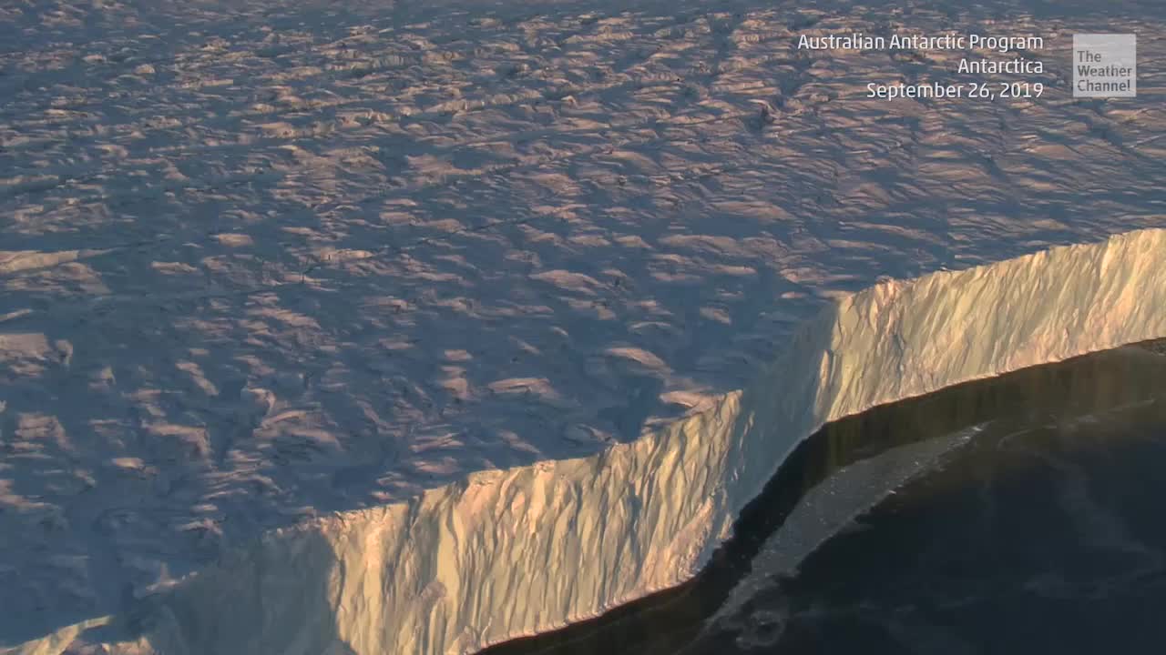 Massive Iceberg Breaks off Antarctica in Largest Calving Event in 50 Years