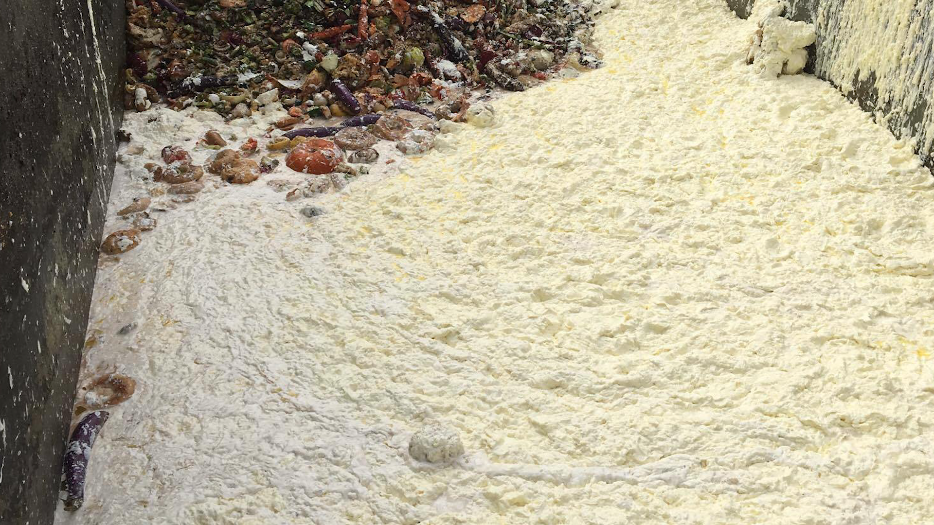 Mayonnaise Recycled into Power at MSU
