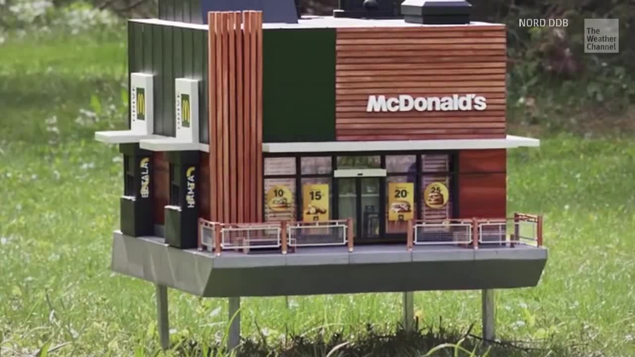 McDonald’s Tiny New Restaurant Has Everyone Buzzing