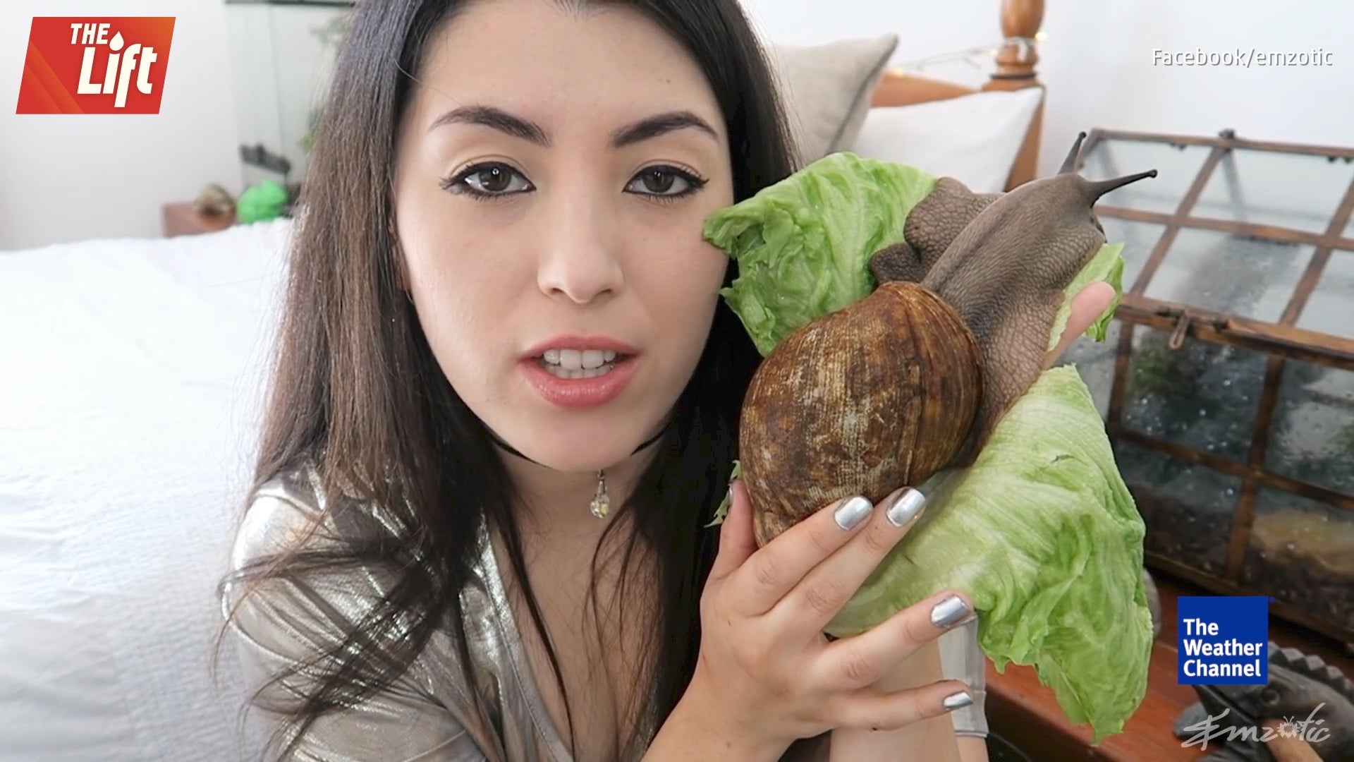 Meet Shrek the Lovable Snail