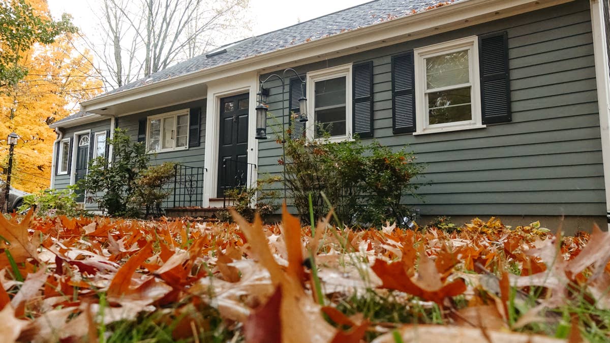 Mice Are About to Start Coming Inside&mdash;Pest Experts Say to Do These 6 Things Now