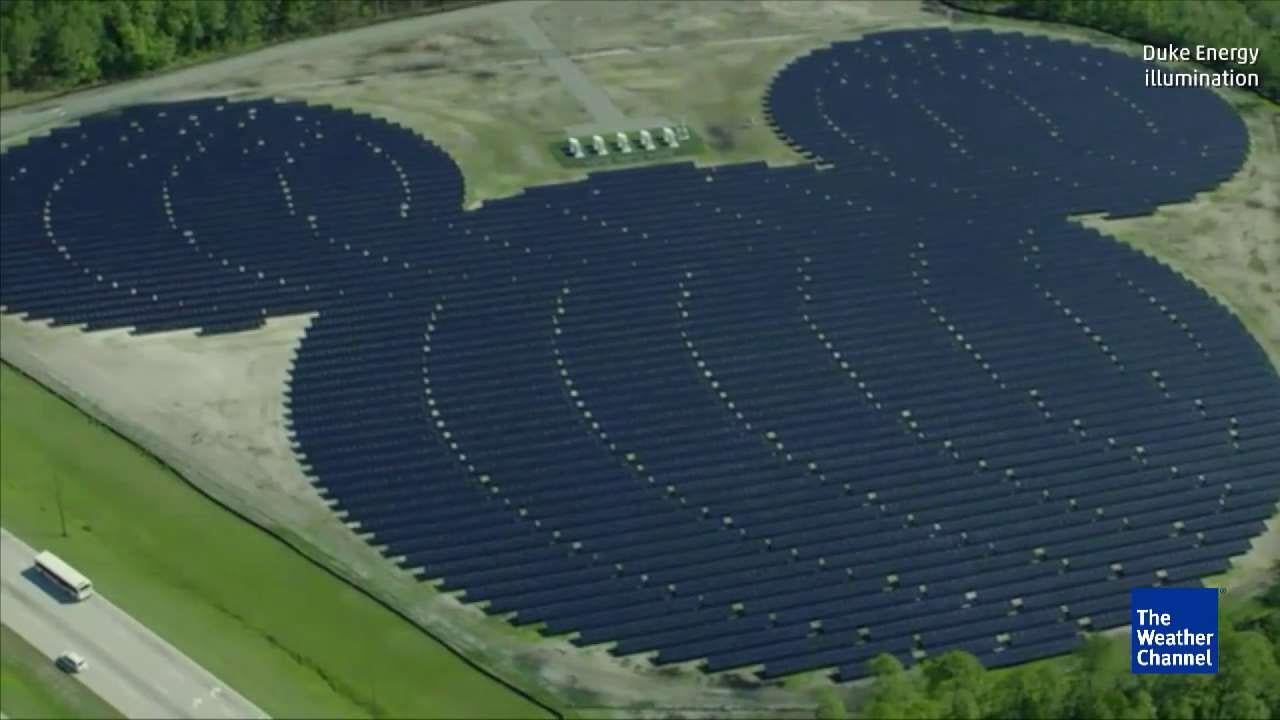 Mickey Mouse Solar Farm at Disney World