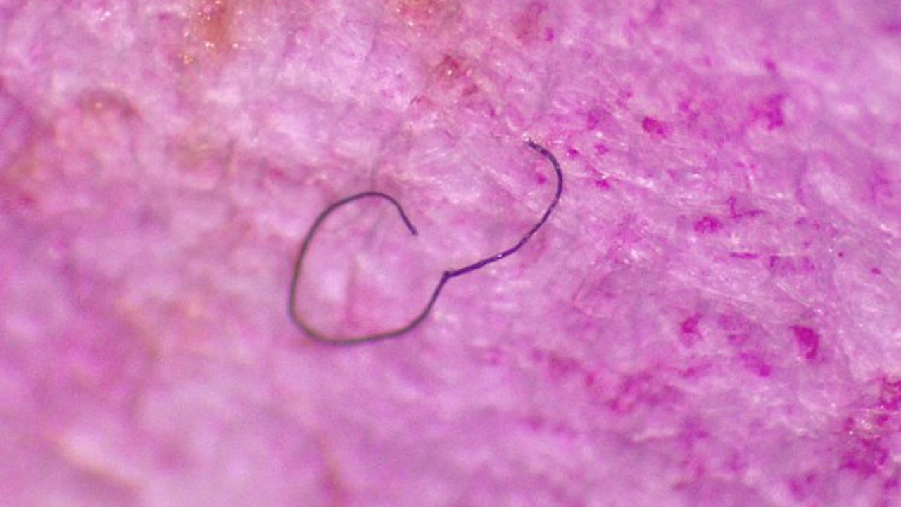Microplastics in Great Lakes Tap Water, Beer