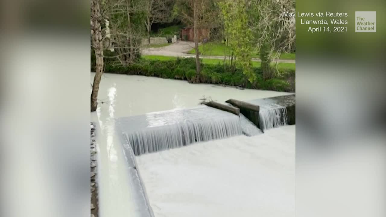 Milk Spill Turns River White in Wales