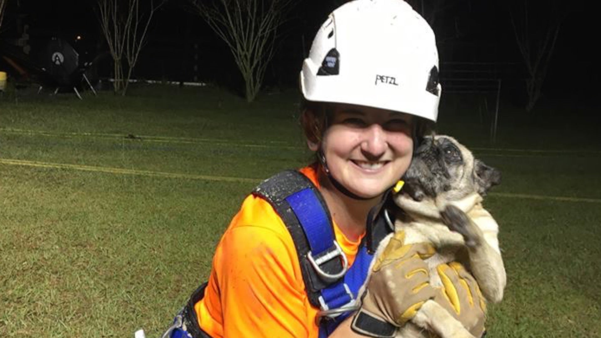 Monster Sinkhole Swallows Pug