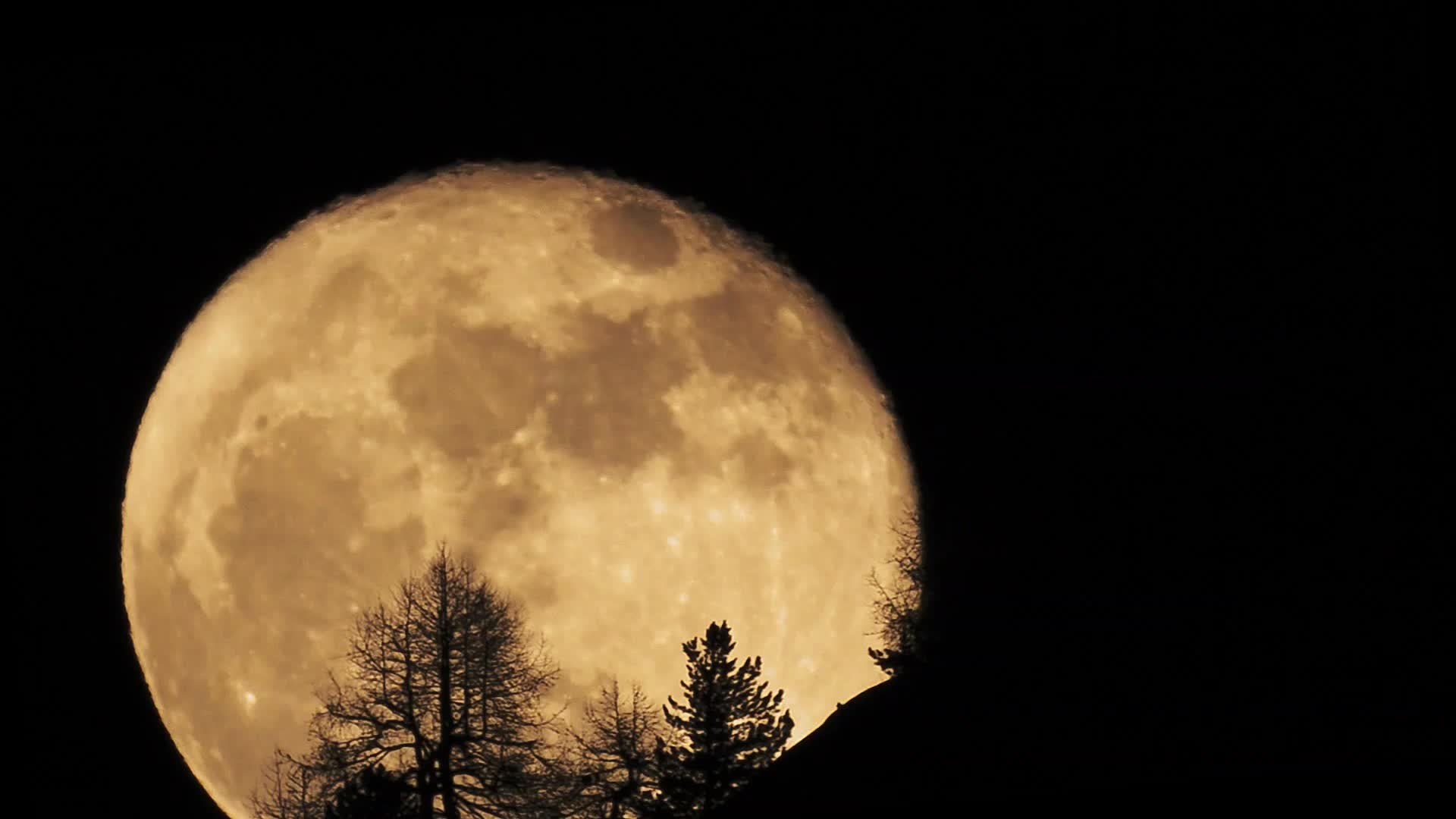 Moon May Have More Craters Than Thought