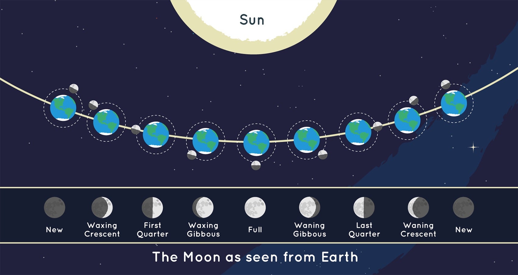 This graphic shows the position of the Moon and the Sun during each of the Moon&rsquo;s phases and the Moon as it appears from Earth during each phase. Not to scale.