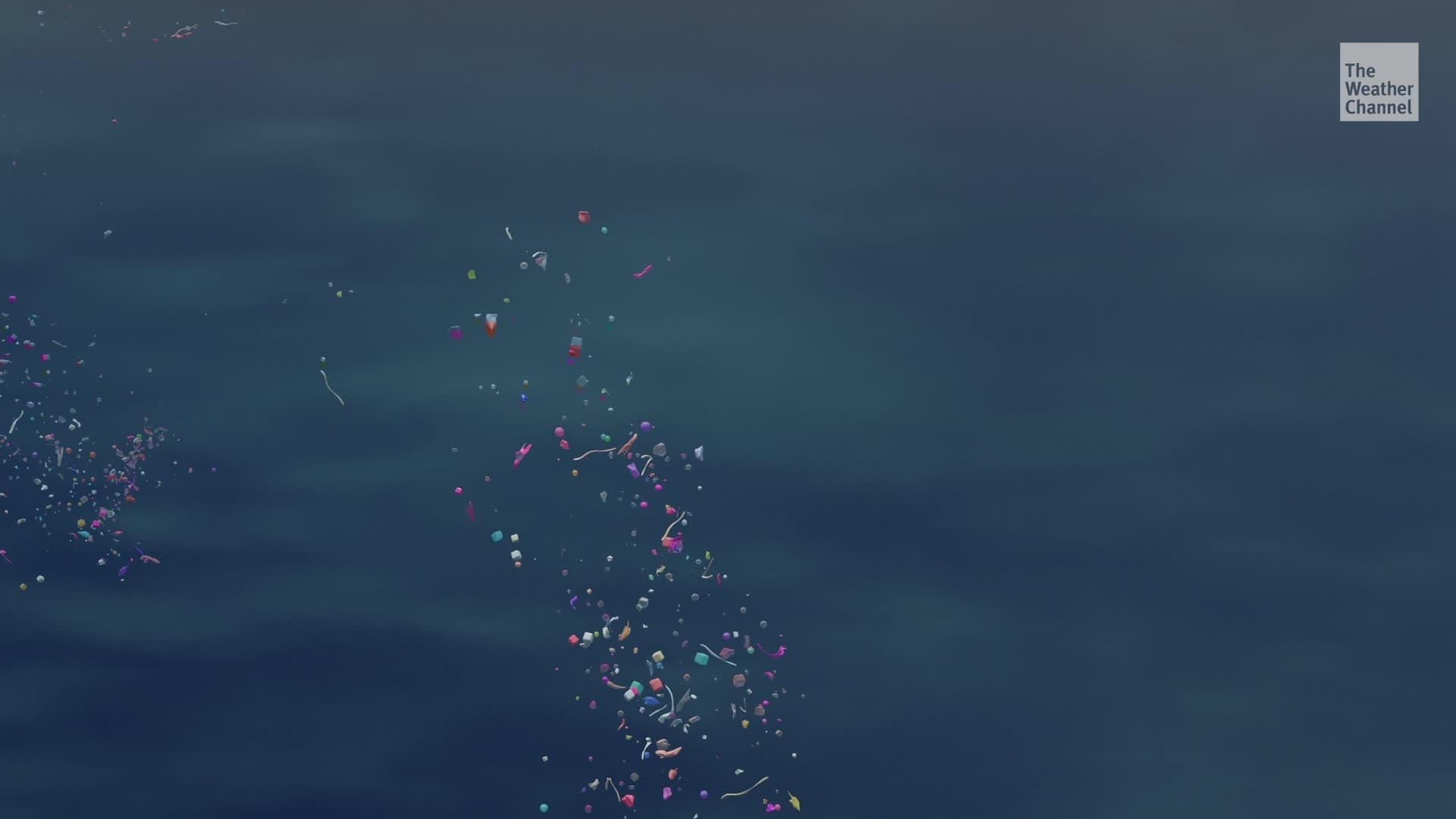 More Plastic in Seafood Than We Thought?