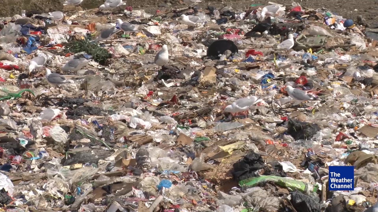 More Plastic Than Fish in Oceans’ Future?