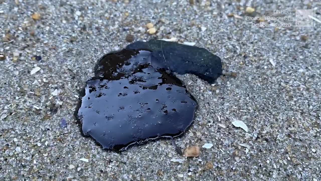 Mysterious Blobs of Oil Show Up on 7 Miles of Delaware Beaches