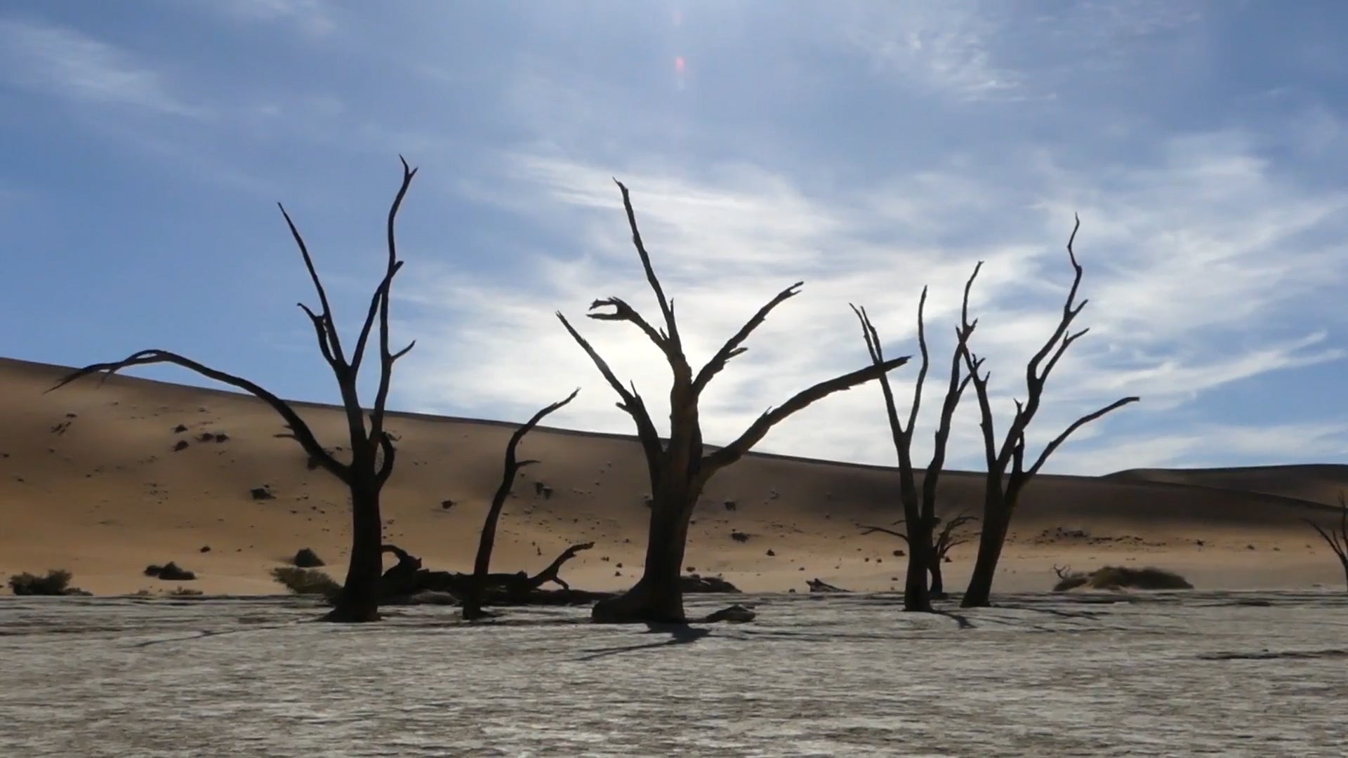 Namibia’s “Dead Marsh” Is Frozen In Time
