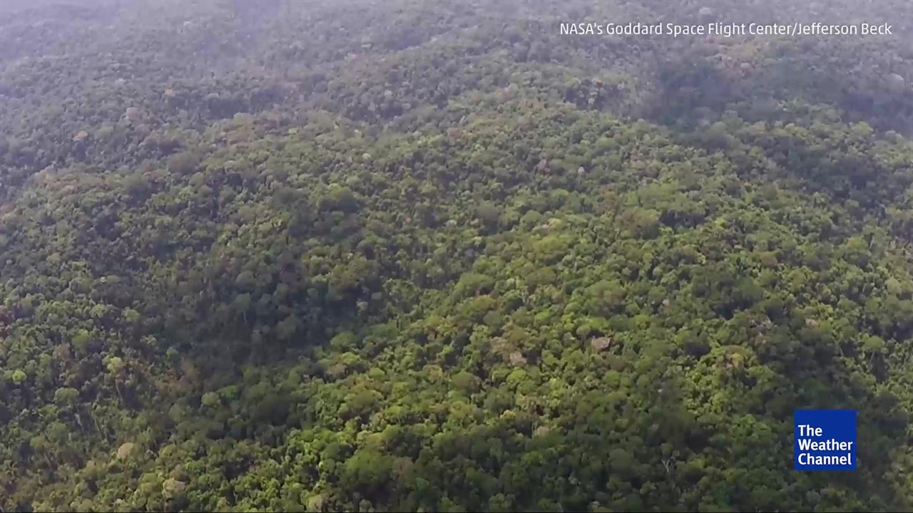 NASA Imagery Shows Stark Amazon Drought