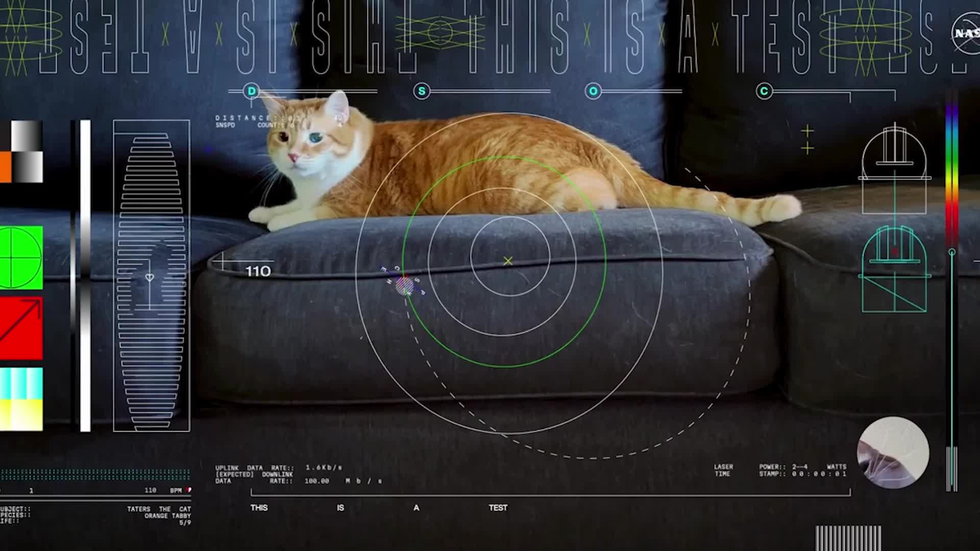 NASA Sends Cat Video From 19 Million Miles In Space