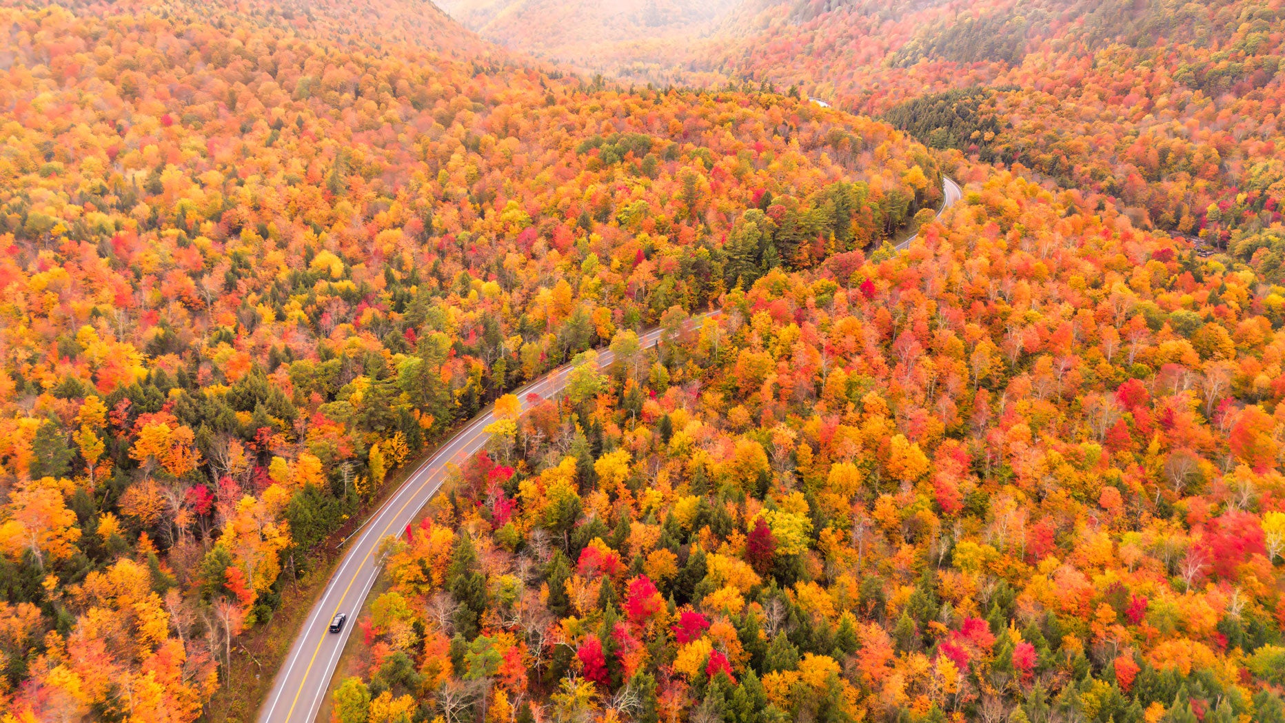Nature&rsquo;s color therapy: an autumn walk might be exactly what you need