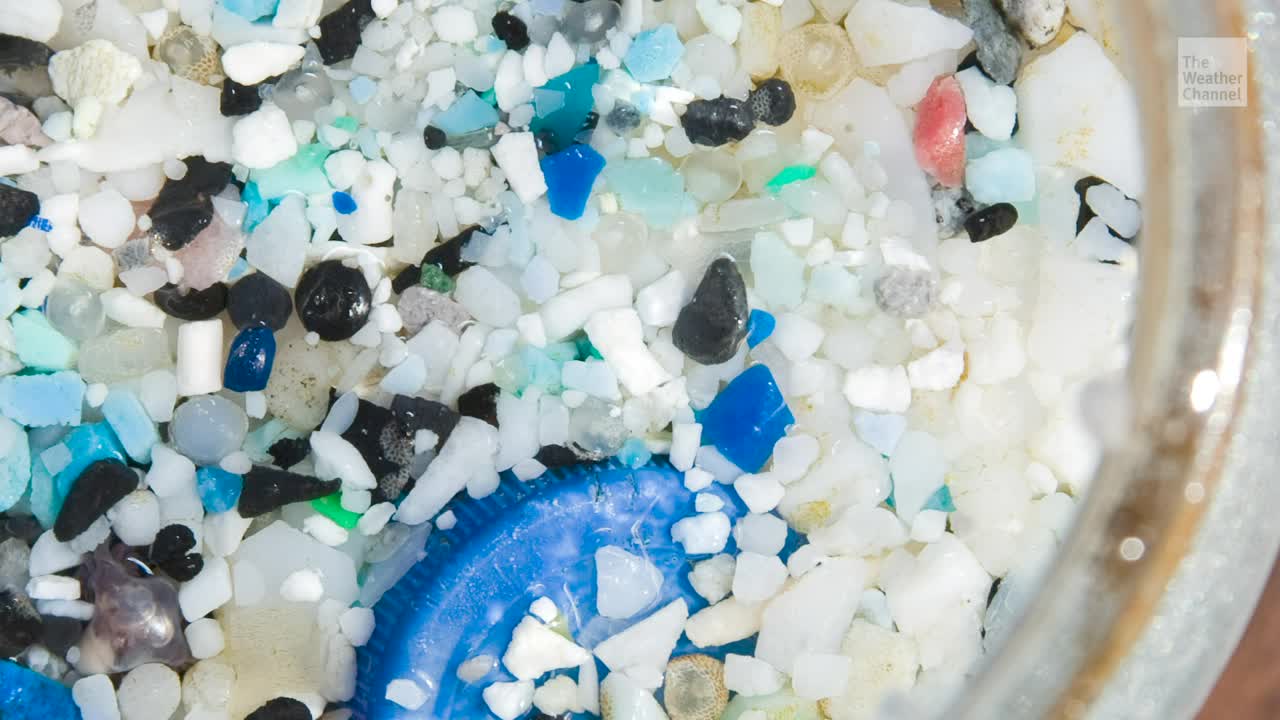 Nearly 16 Million Tons of Microplastics on Seafloor, Study Finds