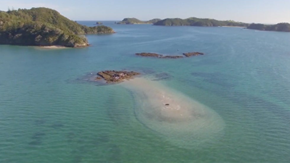 New Zealand Sandbar Serves as Picturesque Cricket Pitch