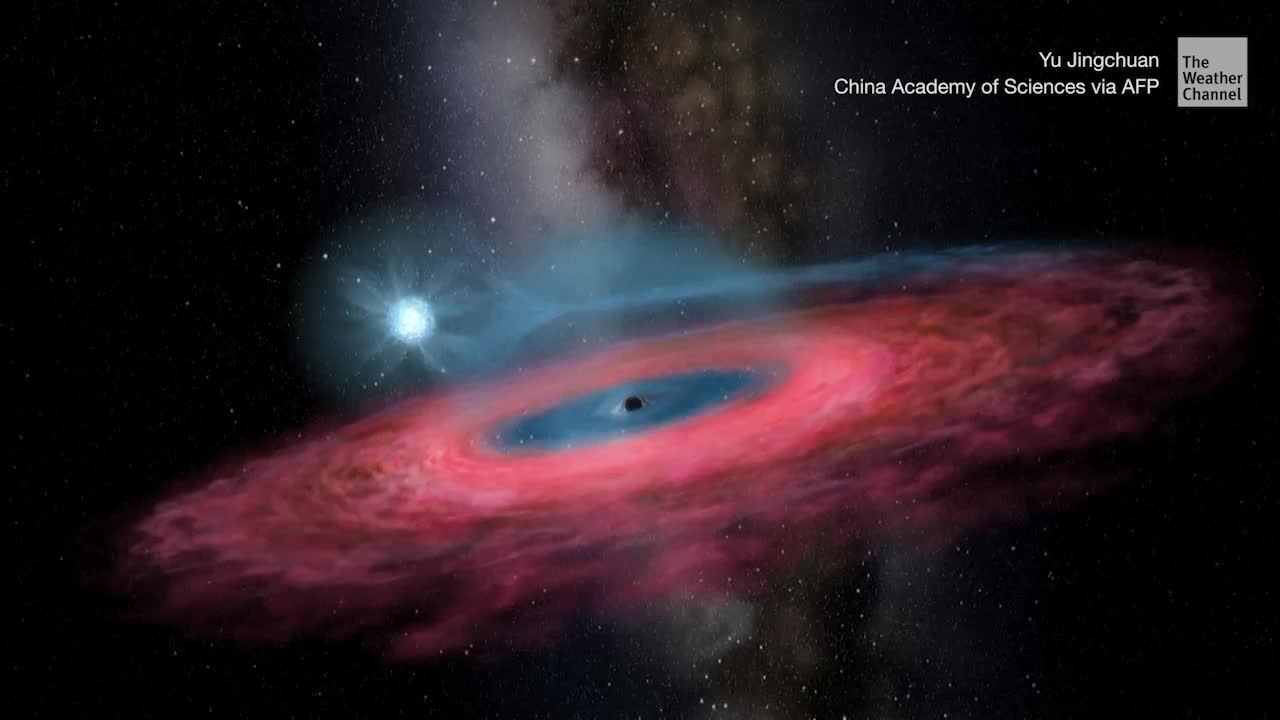 Newly Discovered Stellar Black Hole So Big It ‘Shouldn’t Even Exist’