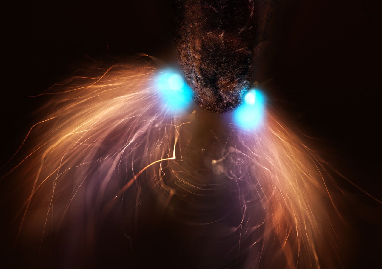 Two blue sparks emit golden light trails in a swirling pattern against a dark background