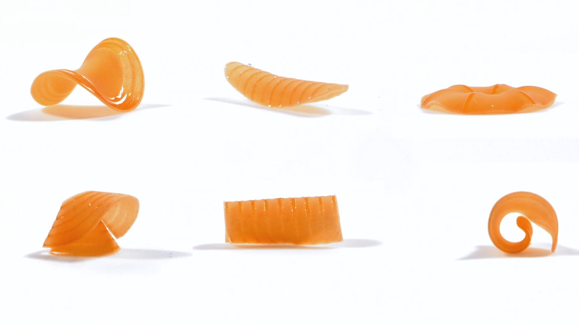 Noodles Transform When Dunked in Water