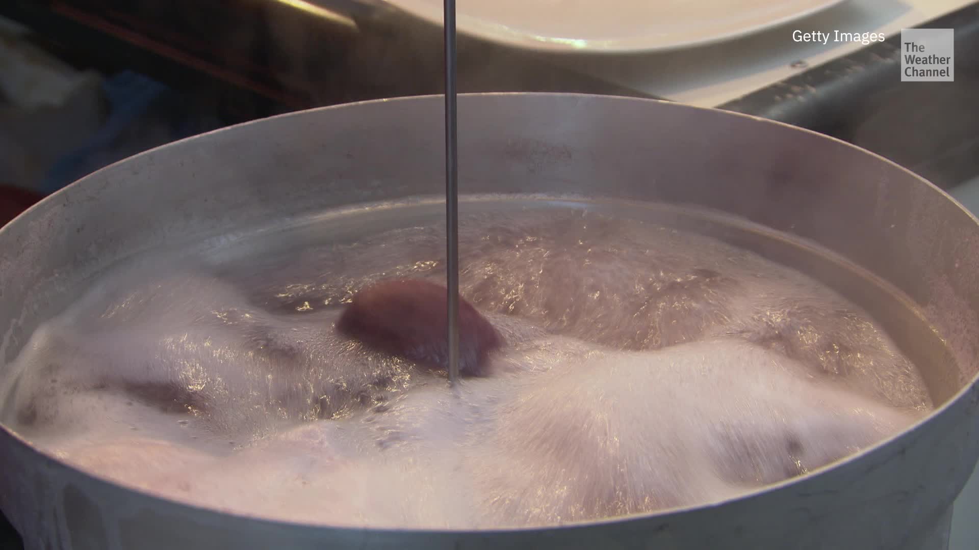 Nutria: It&rsquo;s What&rsquo;s For Dinner? Eating Invasive Species