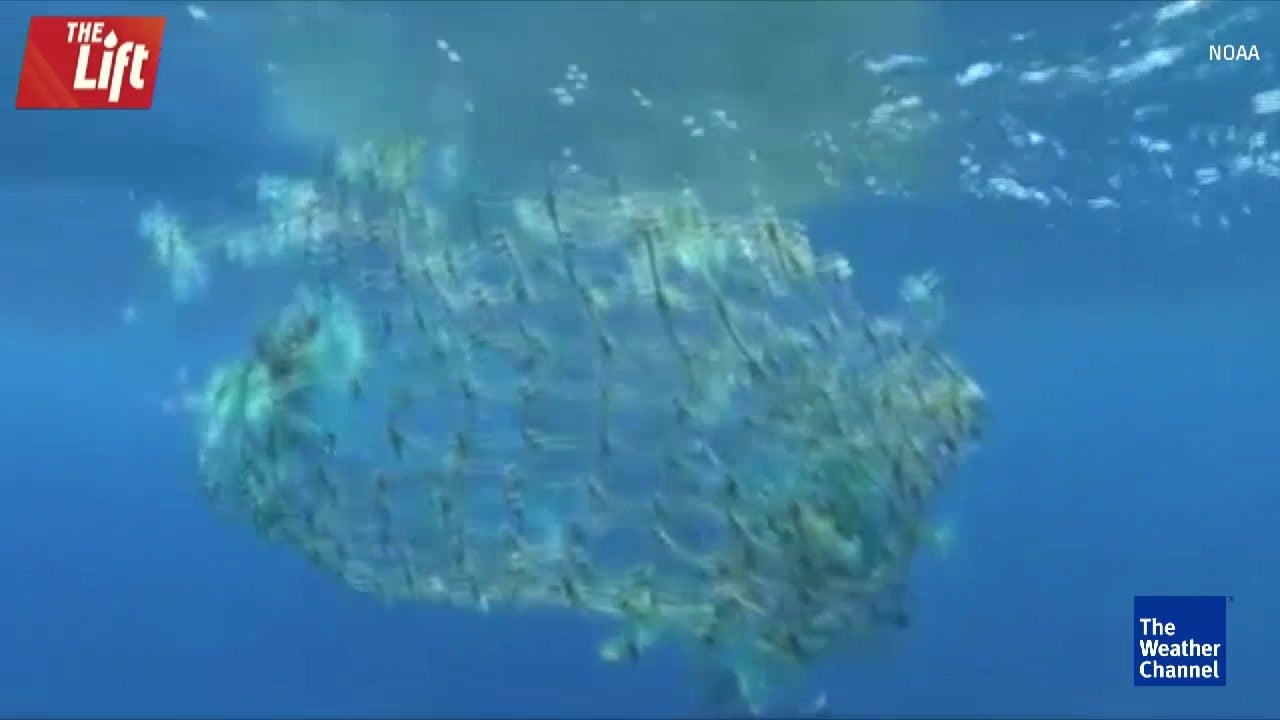Ocean Garbage Patch Much Larger than Thought