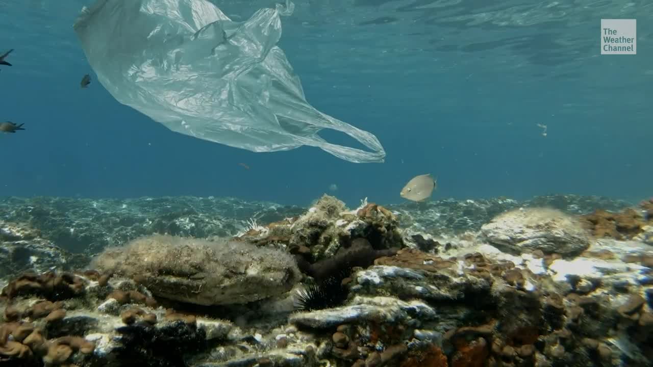 Ocean Is Spitting Plastic Back Onto Coastline, Study Finds