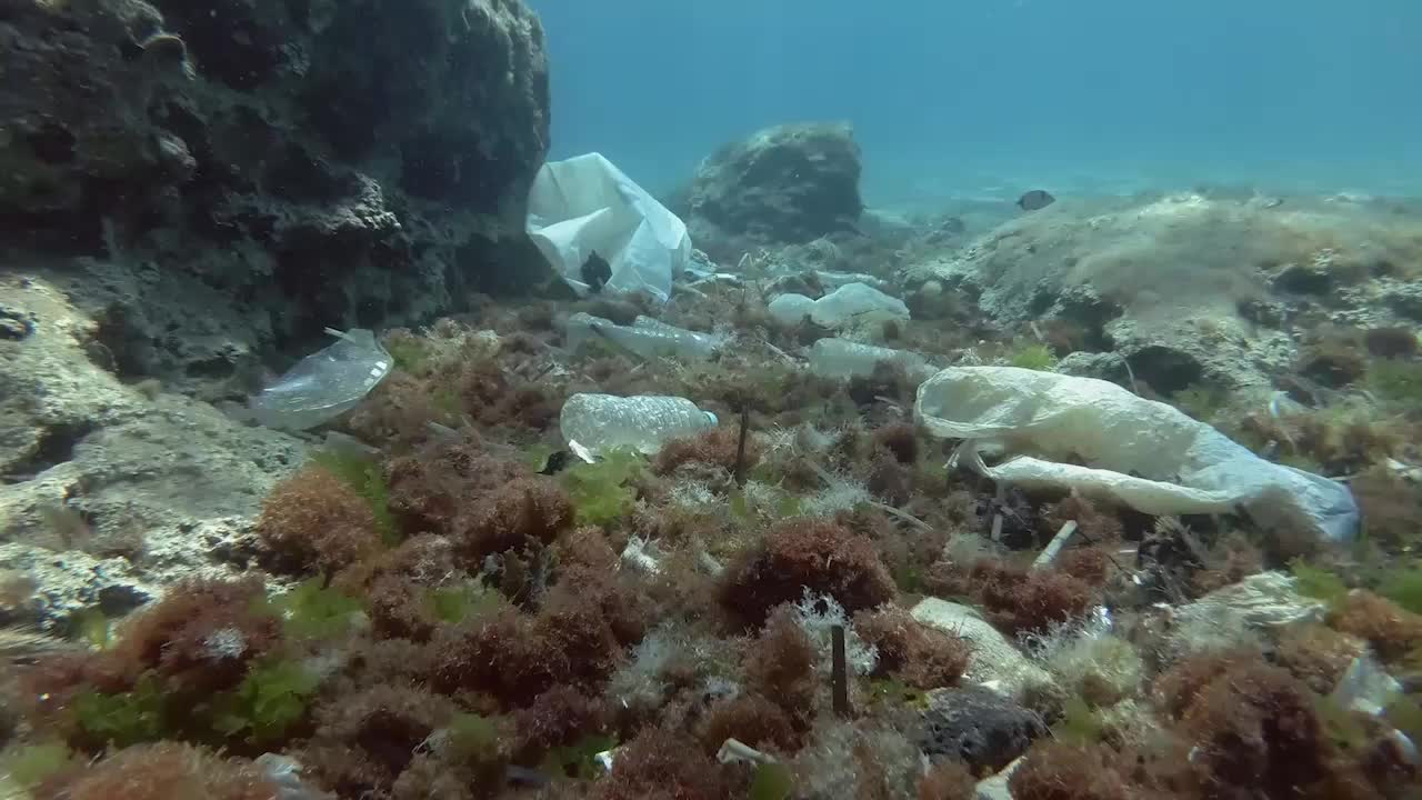 Ocean Plastic Virtually Unchanged After 20+ Years