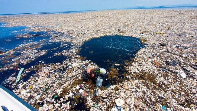 Ocean Trash Pollutes Caribbean Beaches