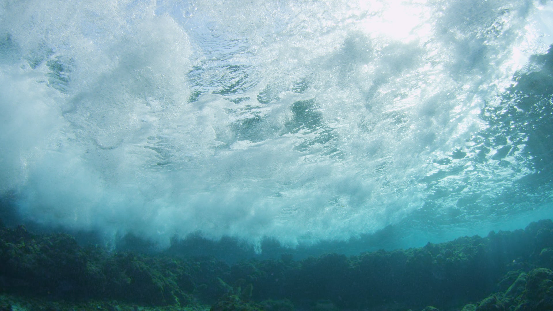 Oceans Soaking Up Billions of Tons of Carbon Emissions