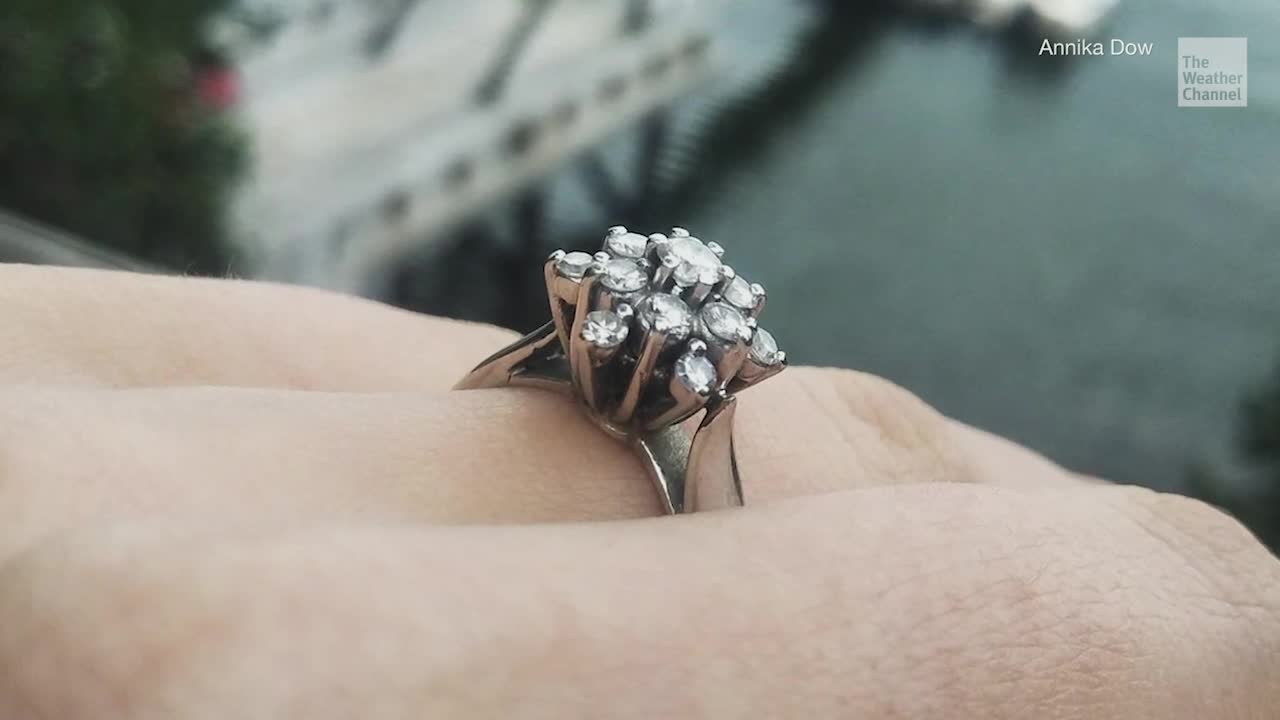 Octopus Finds Engagement Ring on Ocean Floor