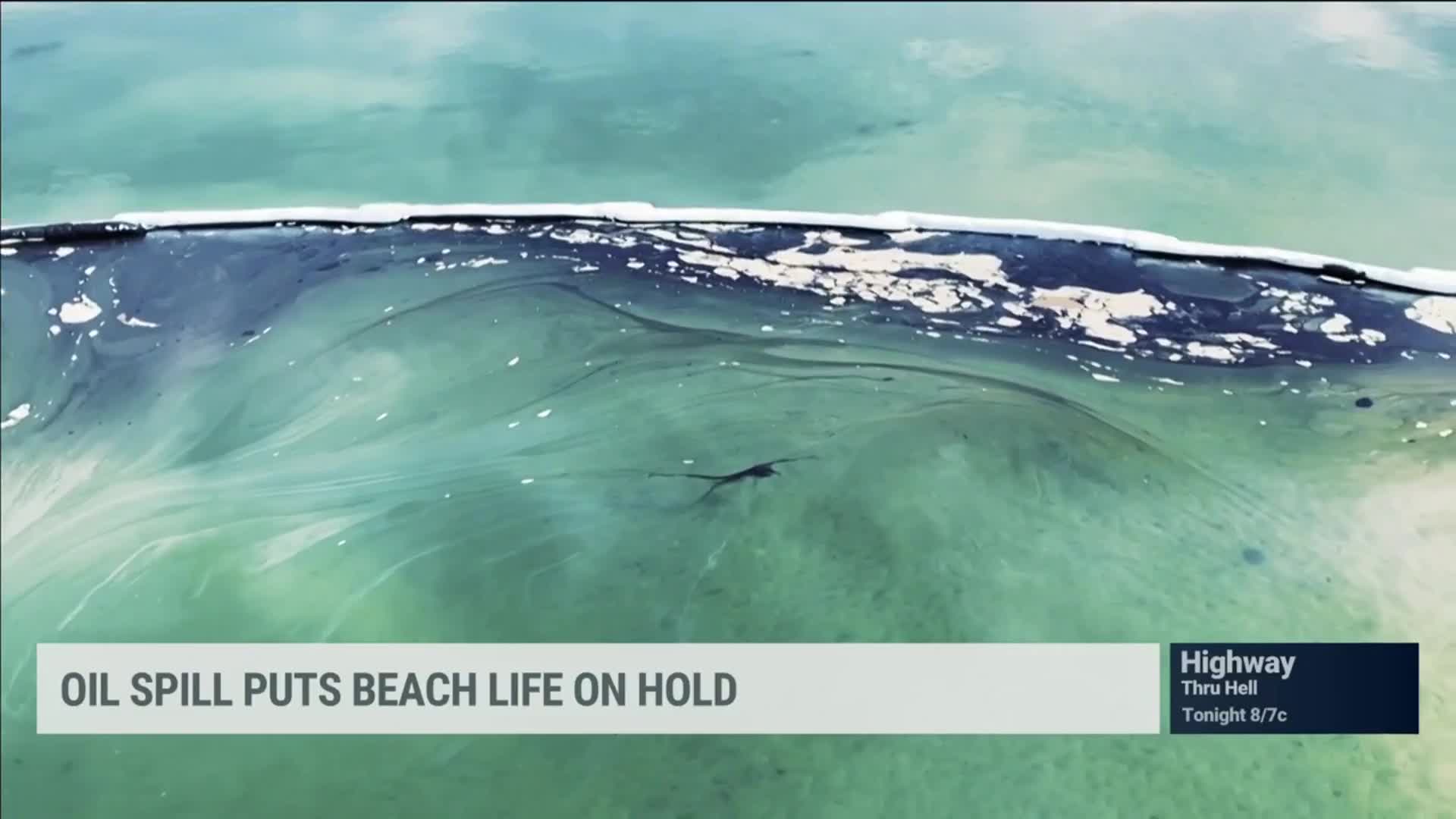 Oil Spill Puts Beach Life on Hold in Southern California