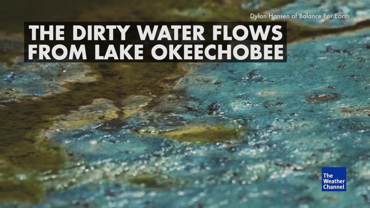 Okeechobee Runoff Pollutes Florida Coast