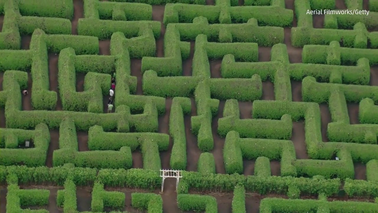 One of the World's Largest Garden Mazes in Hawaii