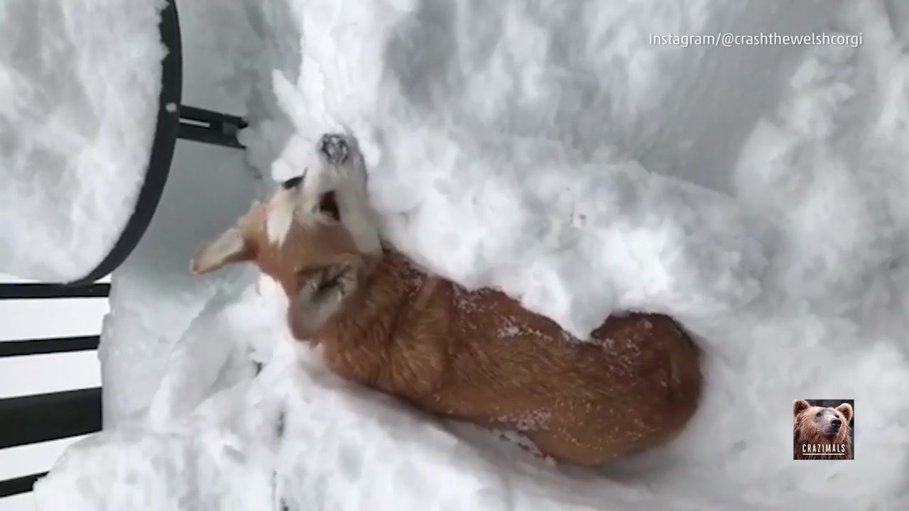 Only One Way Out of This Snow