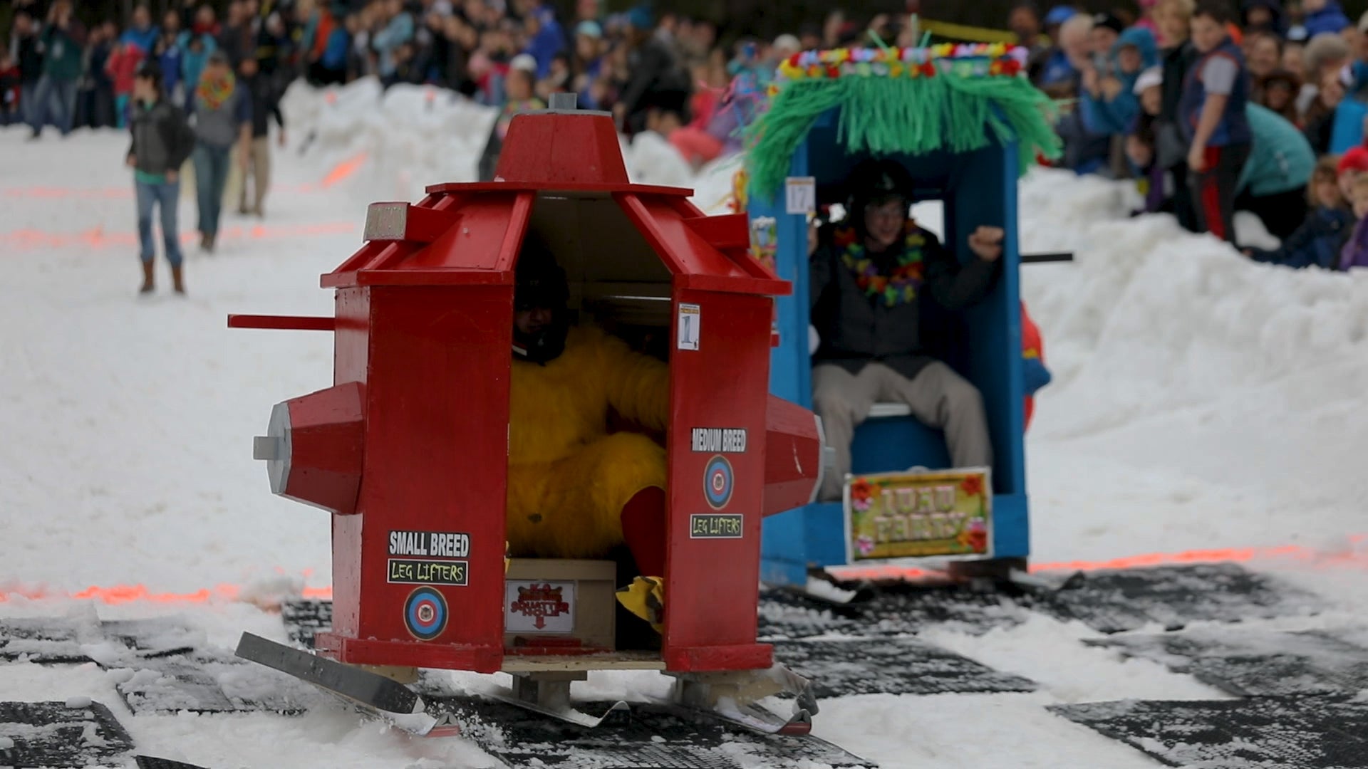Outhouse Race in North Carolina is Hilarious