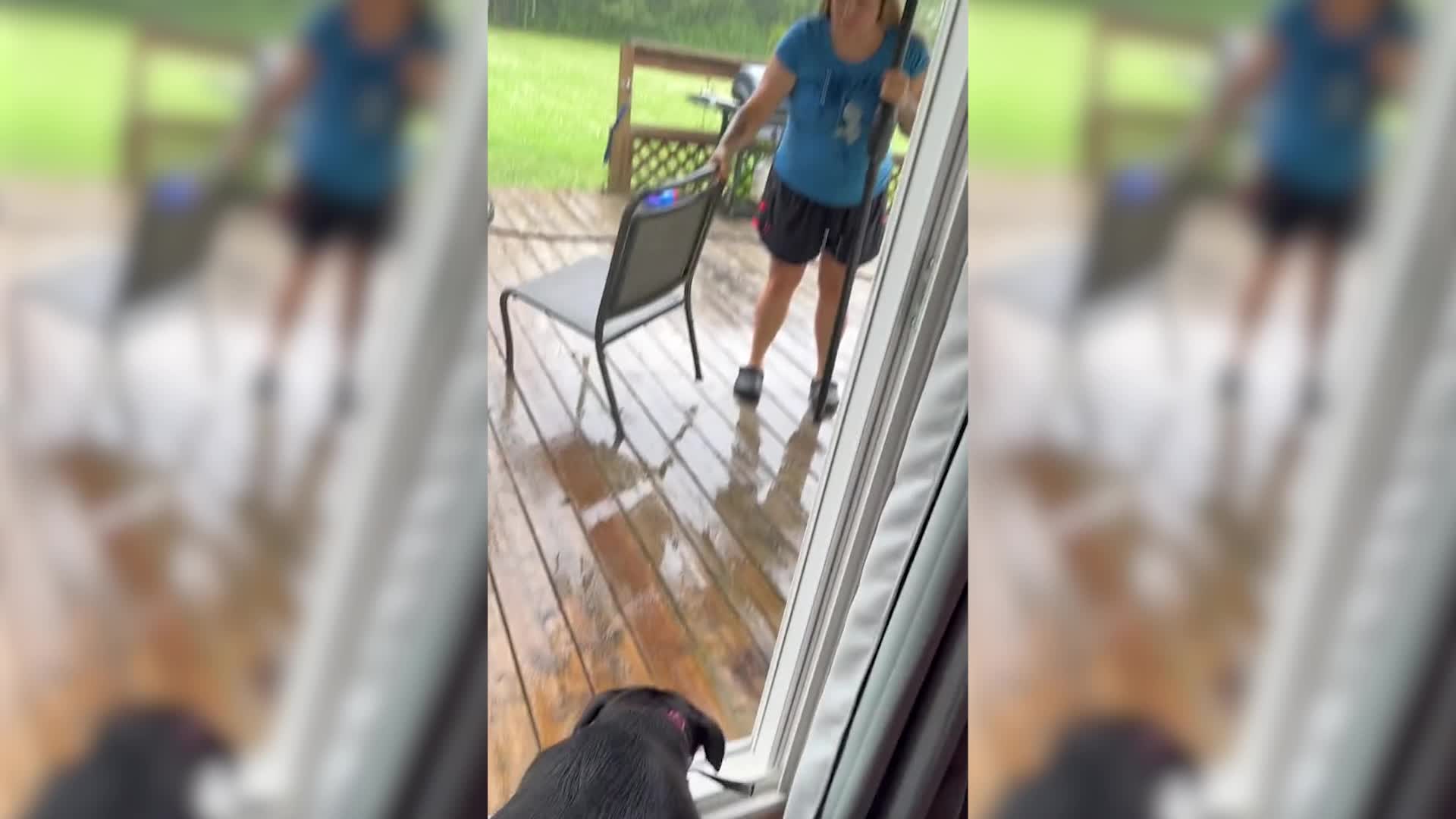Owners Get Creative In Rain To Get Dog Outside
