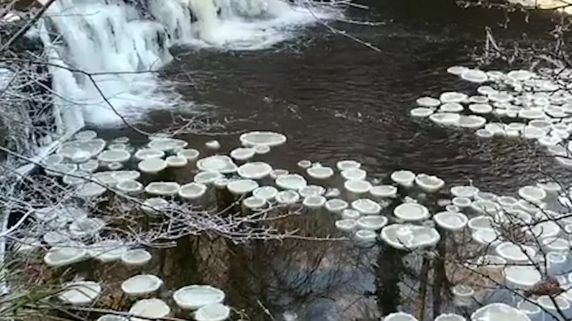 &lsquo;Pancake Ice&rsquo; Caught On Camera In Scotland