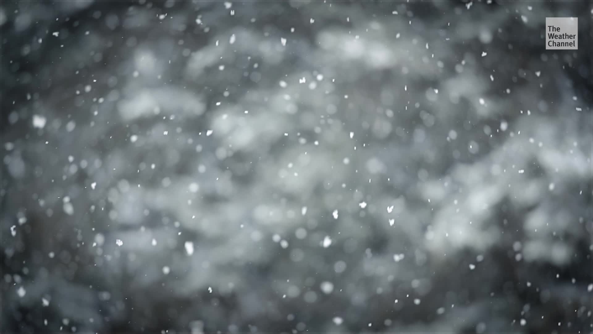 Photographer Captures Snowflakes Up Close In Breathtaking Detail